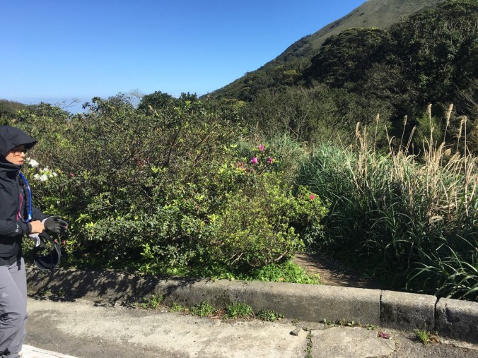 XIAOGUANYIN SHAN LOOP WALK (小觀音山O型縱走) | Taiwan Trails and Tales