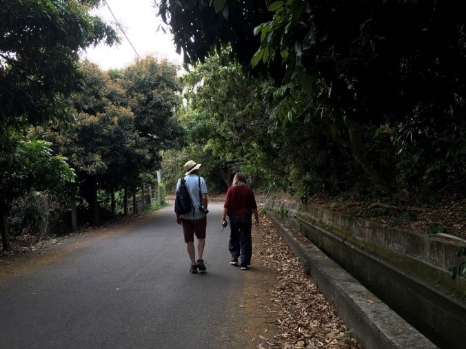 ZHI GAO ZHEN TRAIL LOOP (知高圳O型縱走) | Taiwan Trails and Tales
