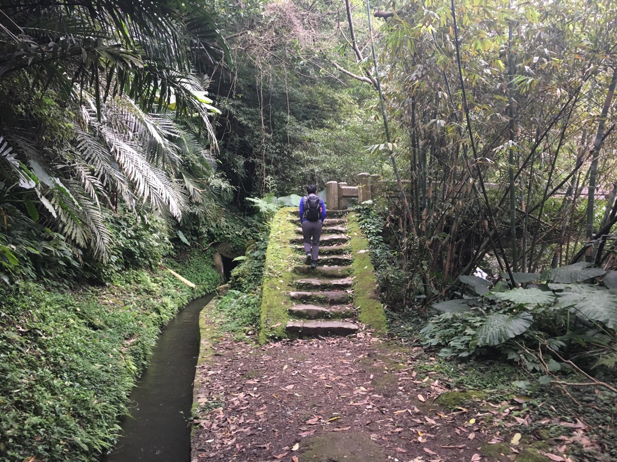 青礐溪 / Qinglan Stream