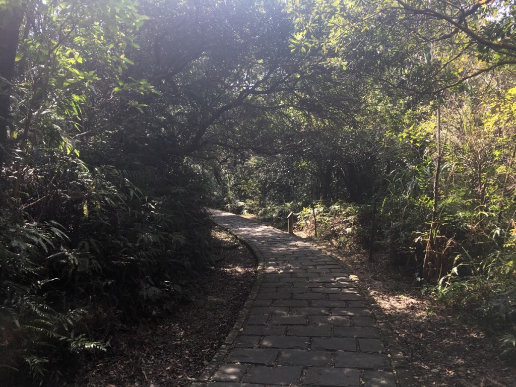 XIAO XI TOU LOOP TRAIL (小溪頭環狀步道) | Taiwan Trails and Tales