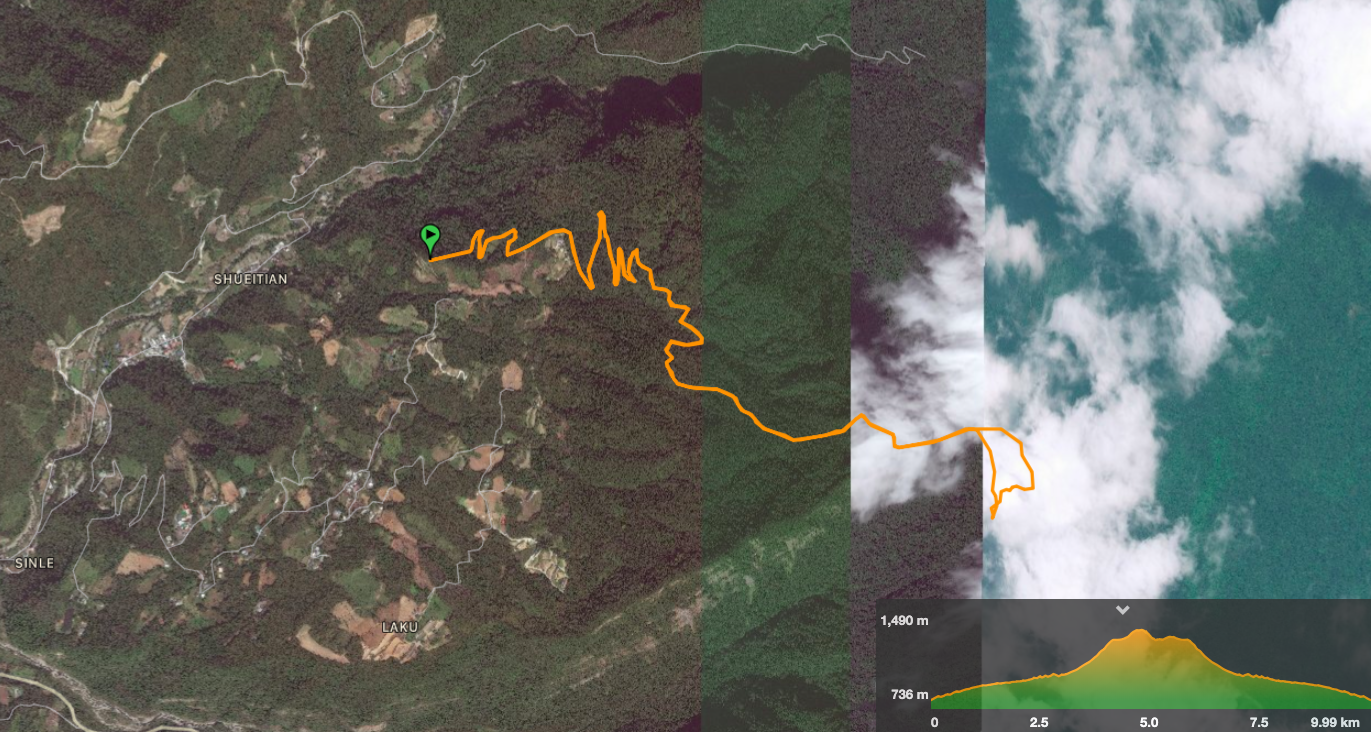 Beidelaman Giant Trees