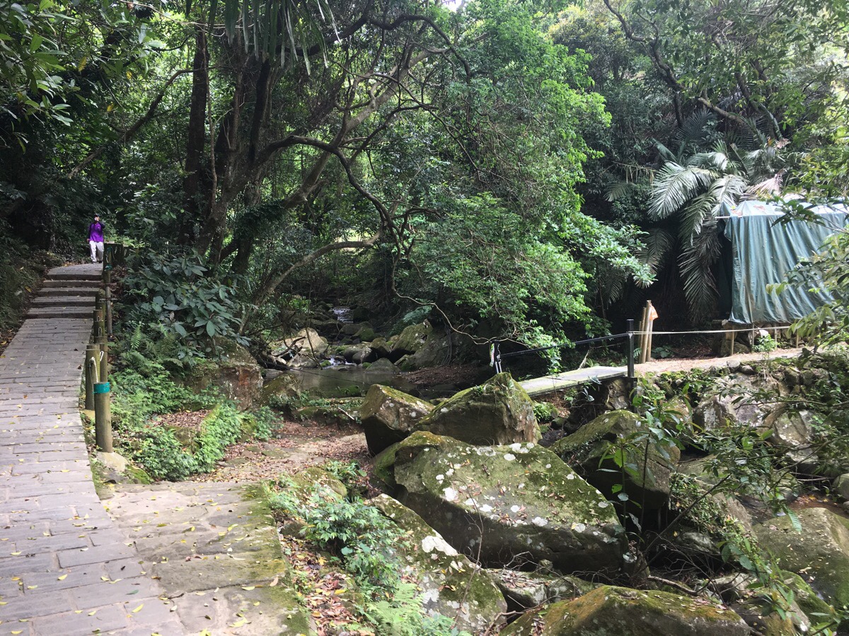 dragon boat rock trail turning