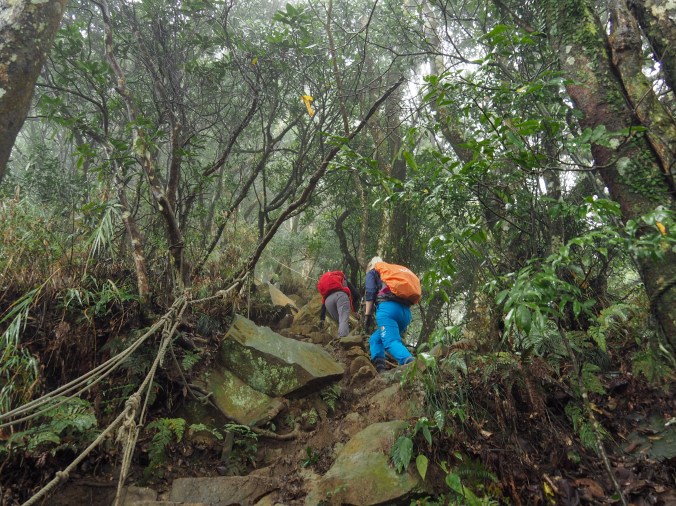SHEN-XIAN TRAIL (神仙縱走)