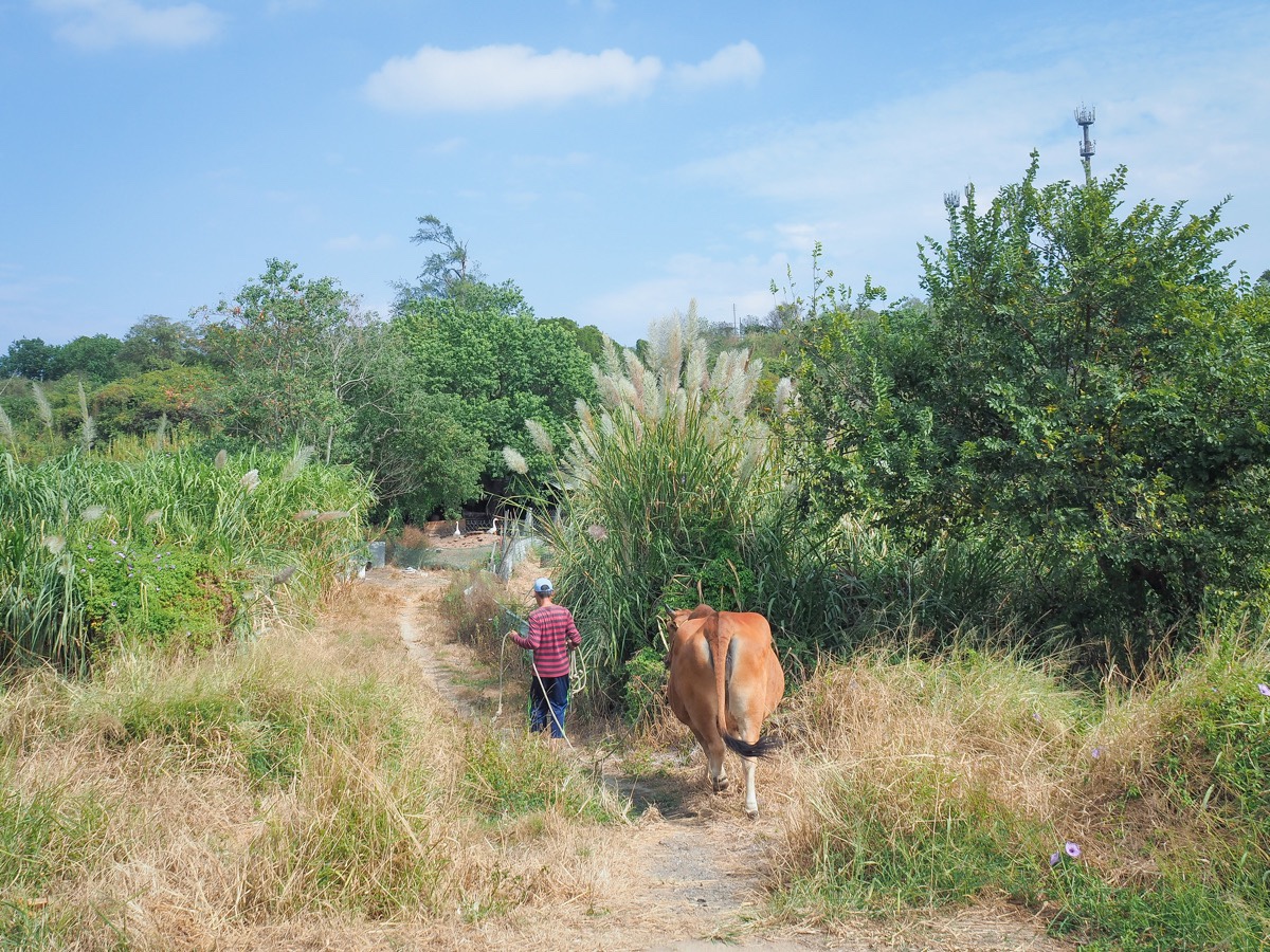 KINMEN FORT WALLS, LIANG SHAN & ZHAISHAN TUNNEL LOOP (金門城/梁山/翟山坑道O型 ...