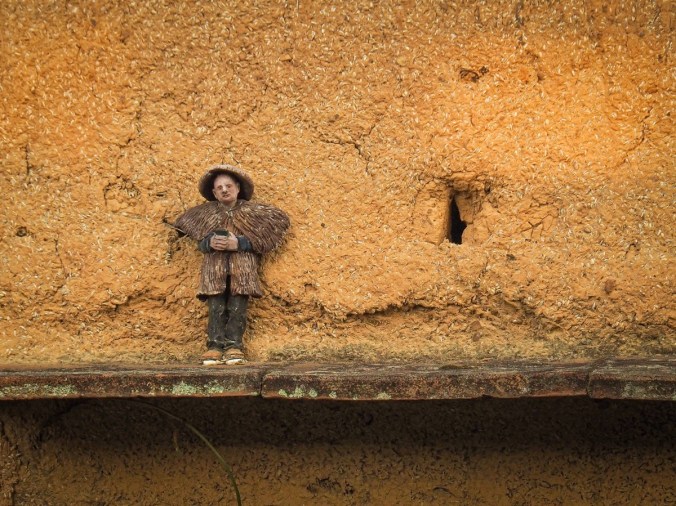 Camphor Trail in Taiwan, Hakka Culture, Taiwan hike