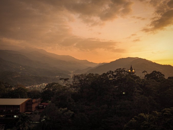 Camphor Trail Taiwan