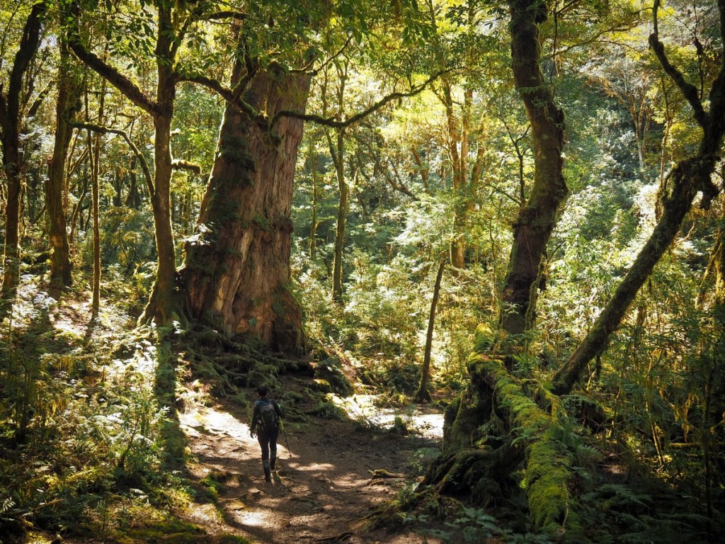 Taiwan hikes