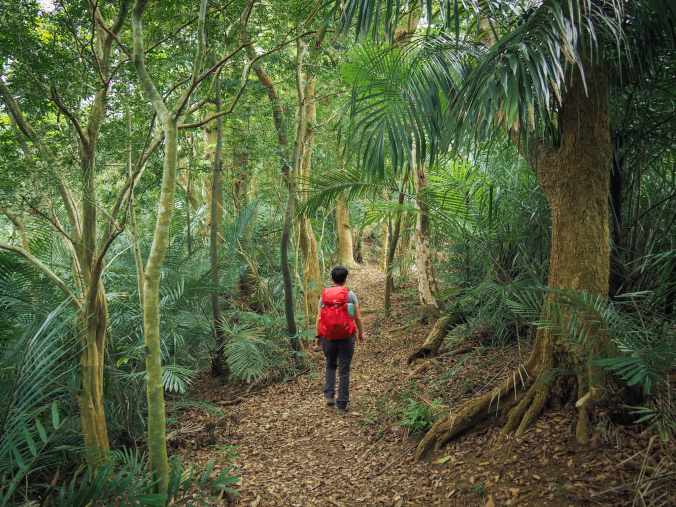 樟之細路苗栗段