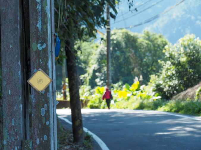 RAKNUS SELU DAY TRAIL 4&nbsp;(樟之細路D4)