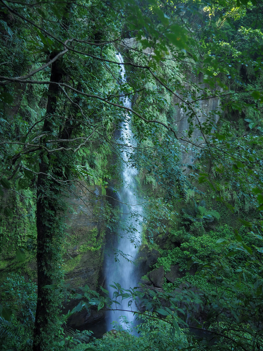 SAVAGE VALLEY (野人谷) | Taiwan Trails and Tales