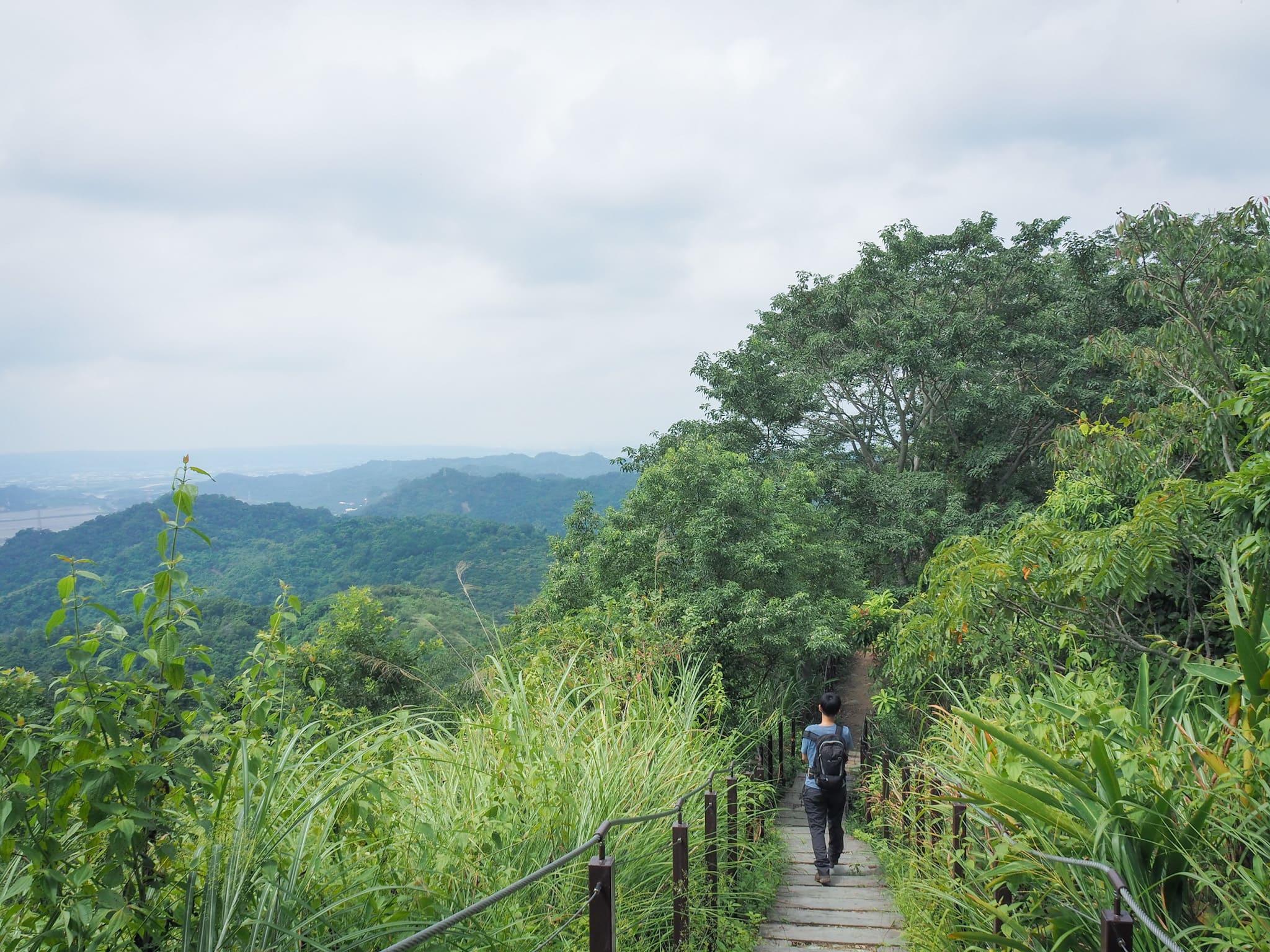 99 PEAKS FOREST TRAIL (九九峰森林步道) | Taiwan Trails and Tales