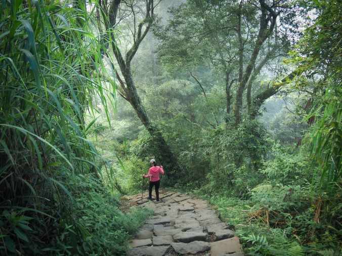 FENQIHU’S MOUNT DADONG&nbsp;(奮起湖大凍山)