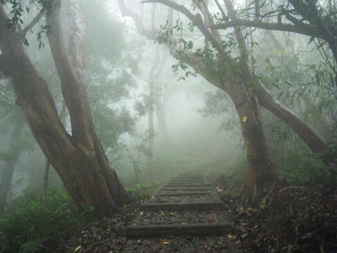 RAKNUS SELU DAY 11 via GINGER GARDEN&nbsp;(樟之細路D11-薑麻園線)