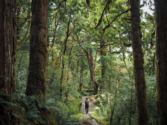 MOUNT WANGYANG TRAIL&nbsp;(望洋山步道)