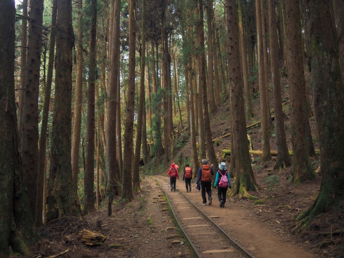 MOUNTAINS to SEA GREENWAY DAY 8&nbsp;(山海圳國家級綠道D8)