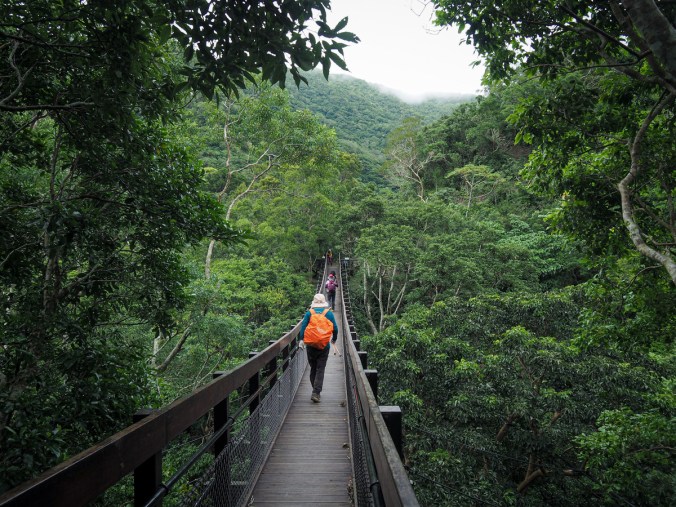 SHUANGLIU BANYAN TRAIL & MOUNTAINSIDE TRAIL (雙流國家森林遊樂區：白榕步道/沿山步道)