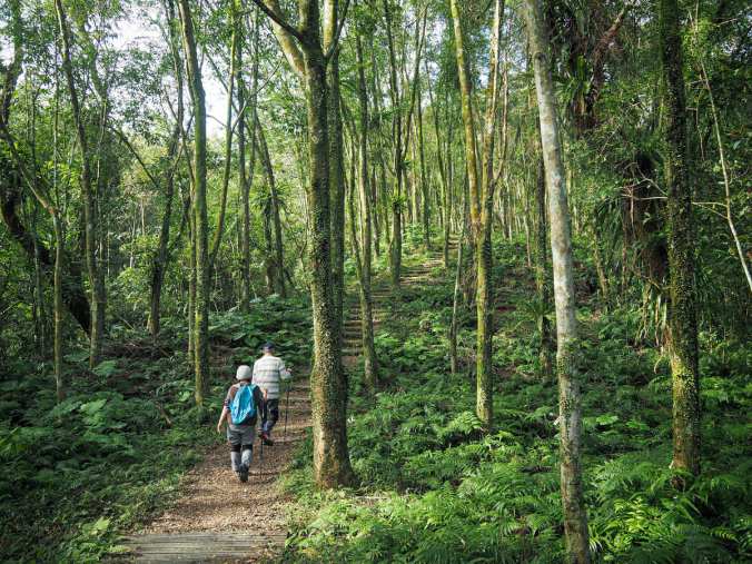 QUANTOUMU TRAIL (拳頭姆步道)